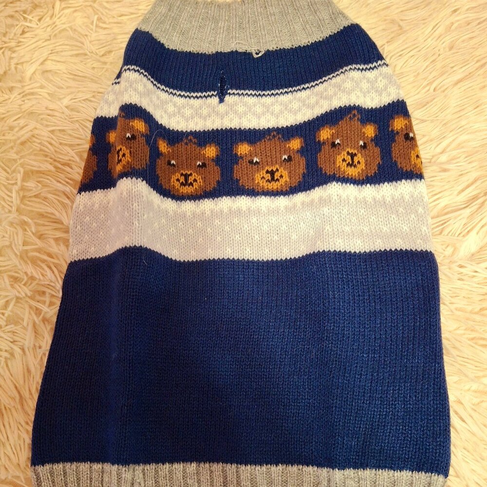 Vibrant Life Dog Sweater